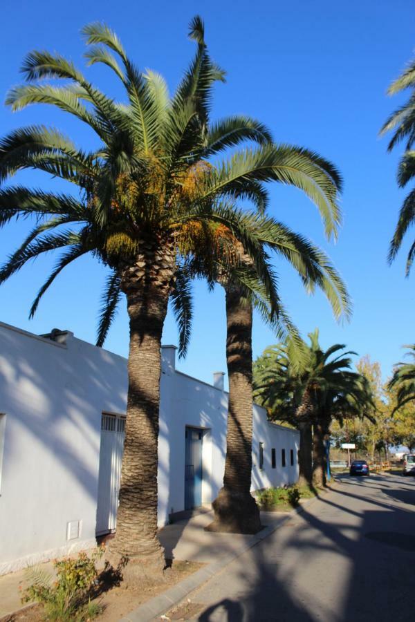 Lo Segador Poblenou del Delta Exterior foto